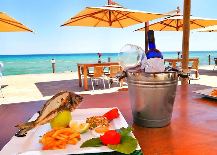 Palmyra Club Nabeul