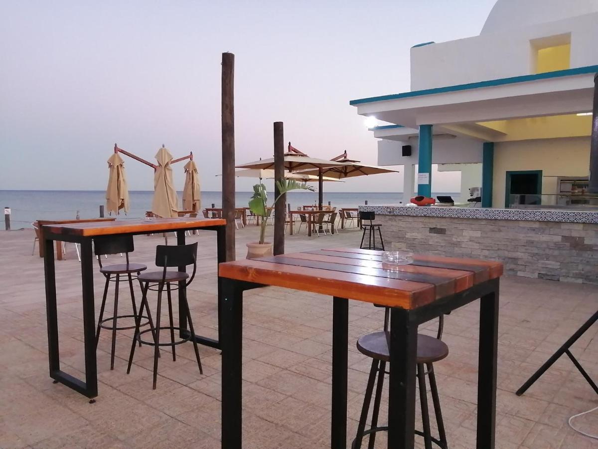 Palmyra Club 3*