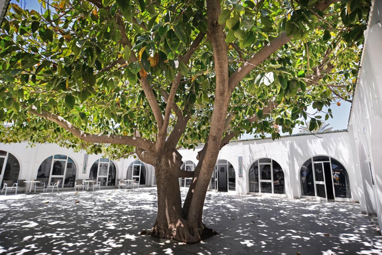 Palmyra Club Hotel